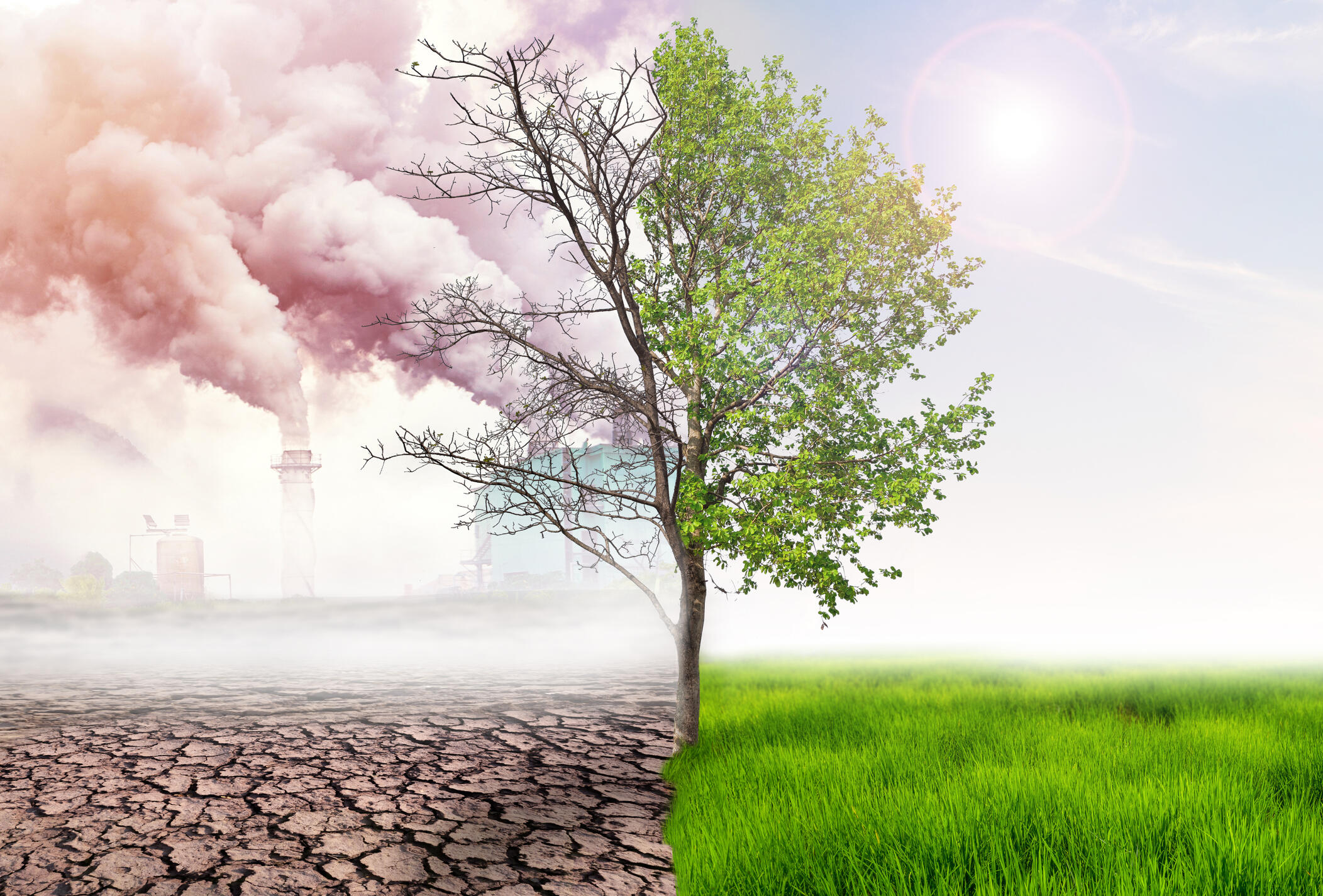 Auswirkungen der Luftverschmutzung durch menschliches Handeln: auf der einen Seite grüne Bäume und Wiese mit Sonne, auf der anderen Seite trockene Erde mit Fabrikrauch im Hintergrund.