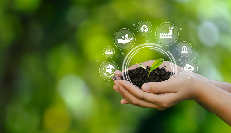Symbolfoto: Zwei Hände halten ein Häufchen Erde mit einer kleinen Pflanze, um die verschiedene umweltbezogene grafische Symbole angeordnet sind.